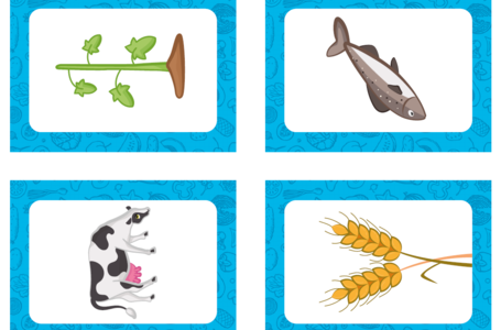 Juego de cartas ¿CUÁL ES EL ORIGEN DE ESTOS ALIMENTOS?