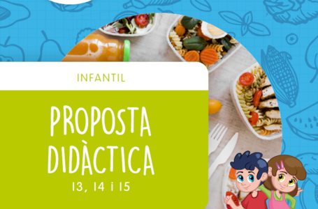 Proposta didàctica per a docents